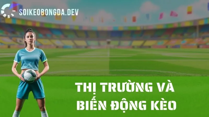 Cách Soi Kèo Bóng Đá Qua Thông Tin Thị Trường Và Biến Động Kèo